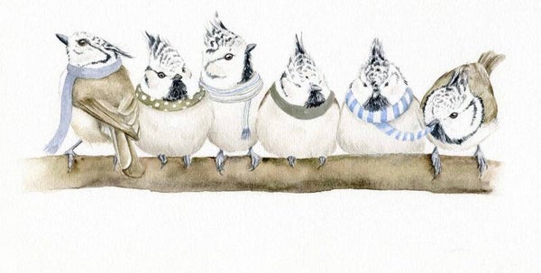 Knusse kuifmeesjes op een tak