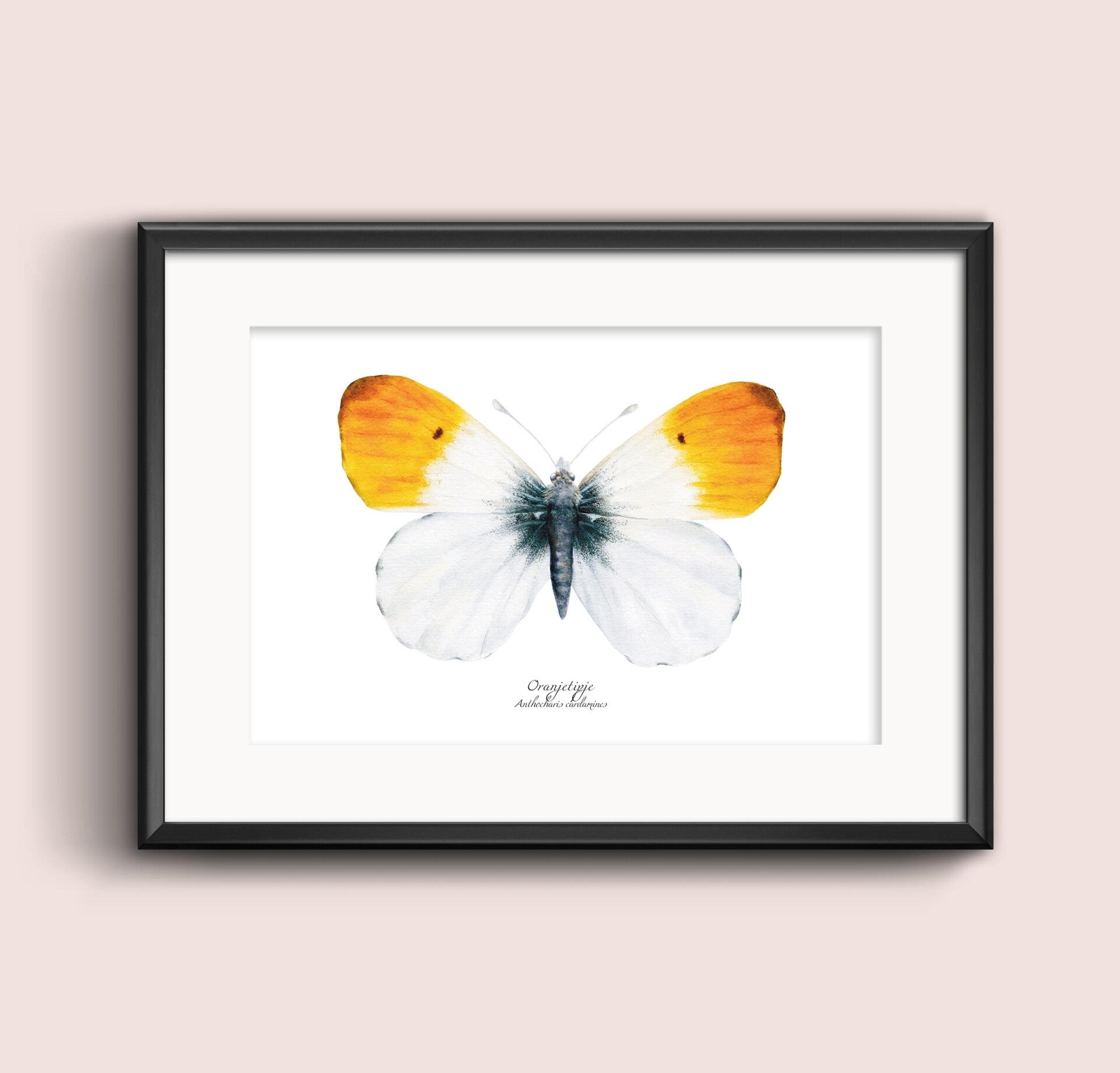 Print Oranjetipje A5