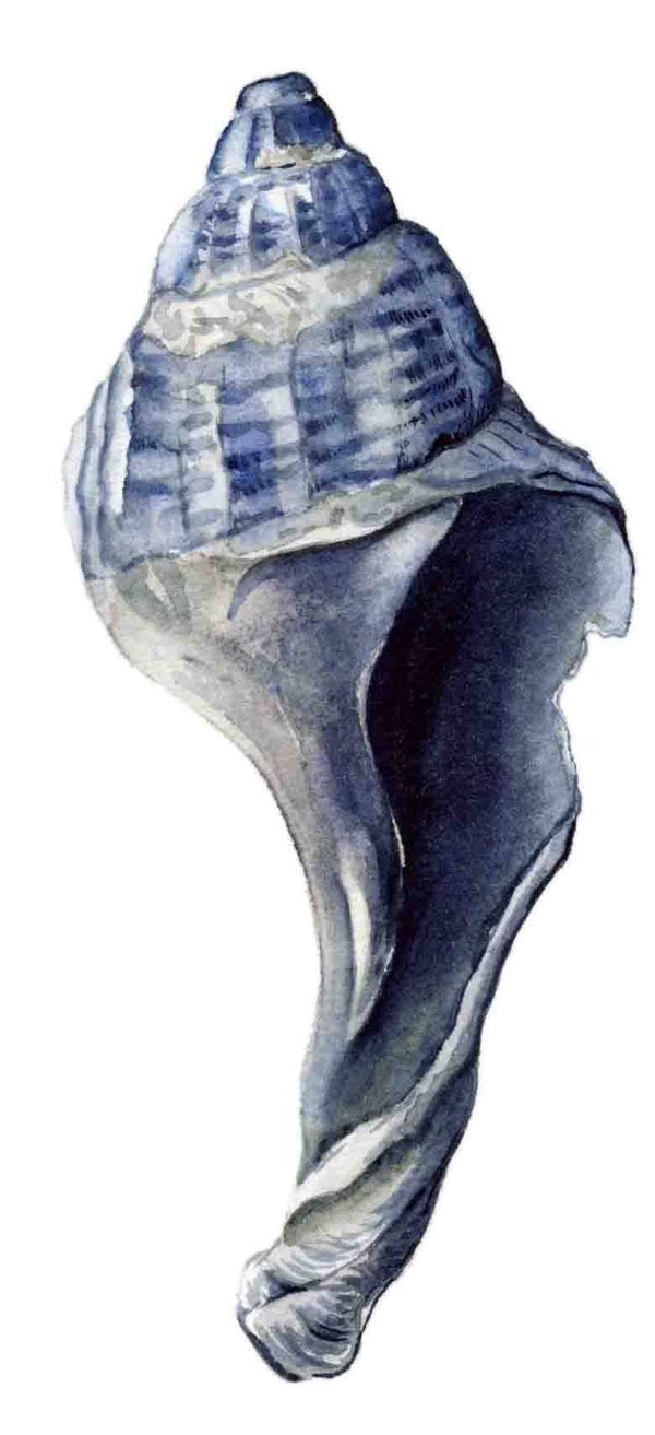 Strandschatten - Wulk