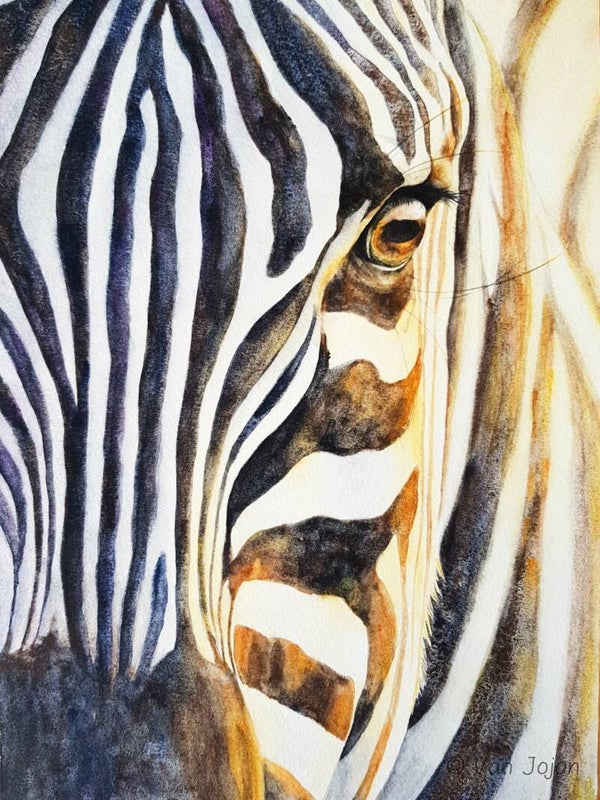 "Zonnige zebra"