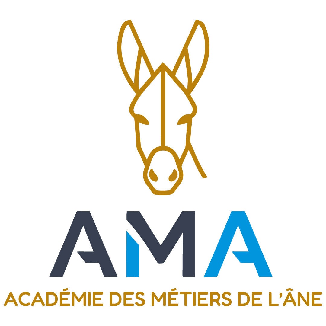 Âne bourbonnais tenu en longe lors d’une séance de travail en plein air à l’asinerie, mettant en valeur sa morphologie et son licol rouge. 