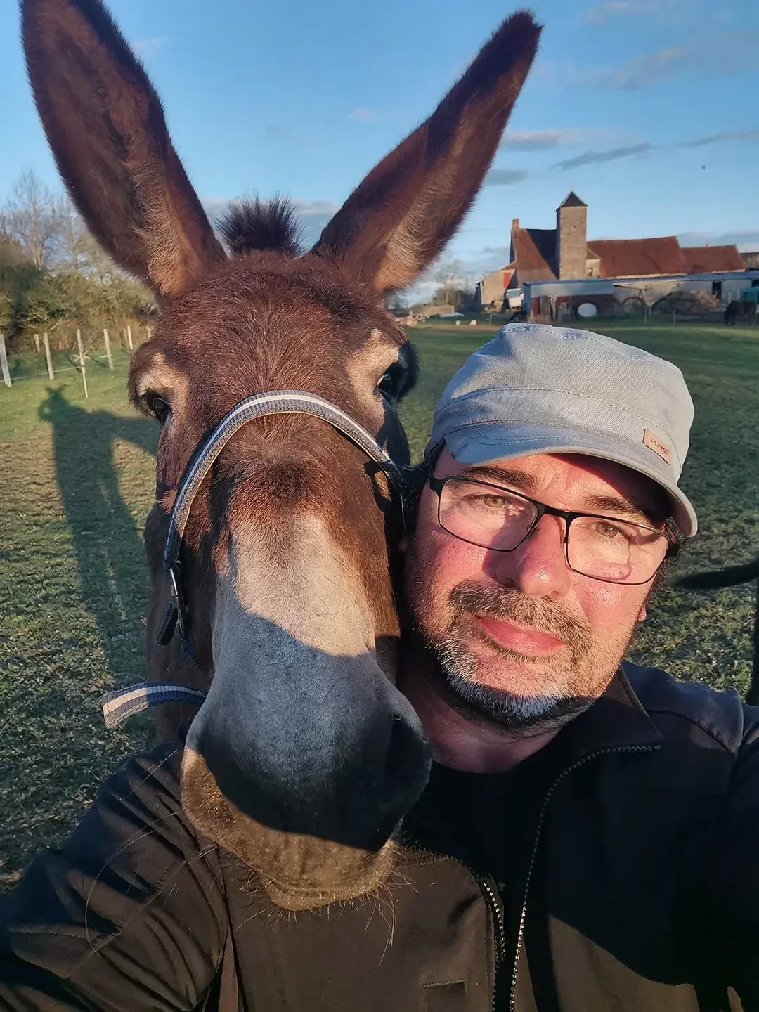 Scène de plein air montrant un âne portant un licol se tenant près d’une personne dans un champ, au pied d’une ferme ancienne, dans une lumière de fin de journée qui souligne l’atmosphère paisible du milieu rural.