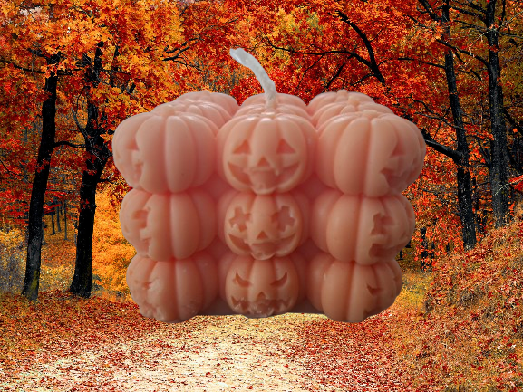 Autumn Pumpkin