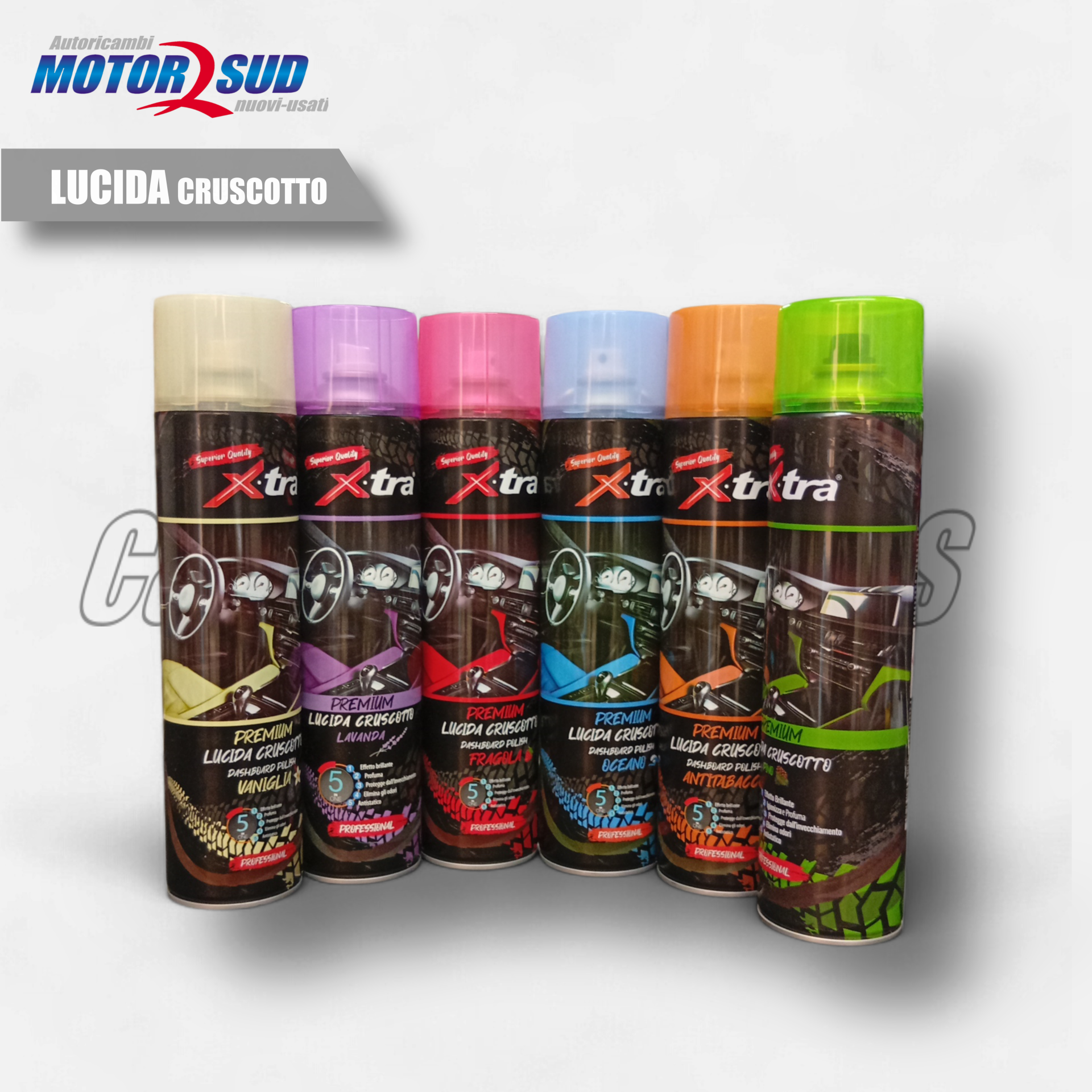 Lucida Cruscotto 600ml