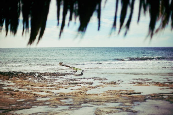 Ses Salines