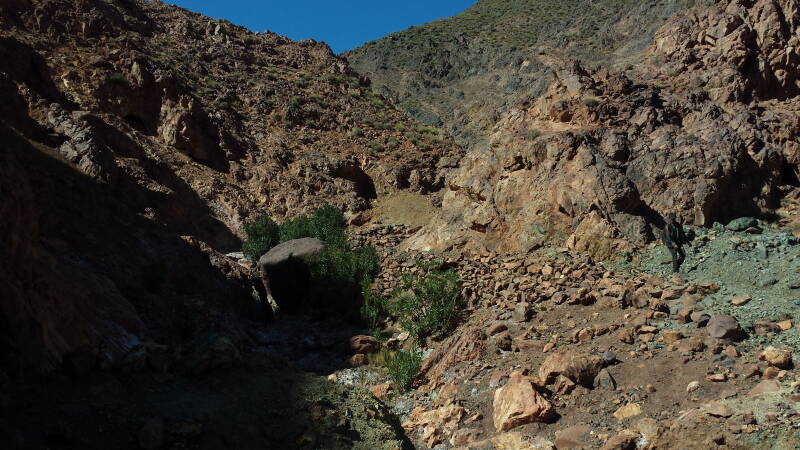 20160304_144426-standard.jpg