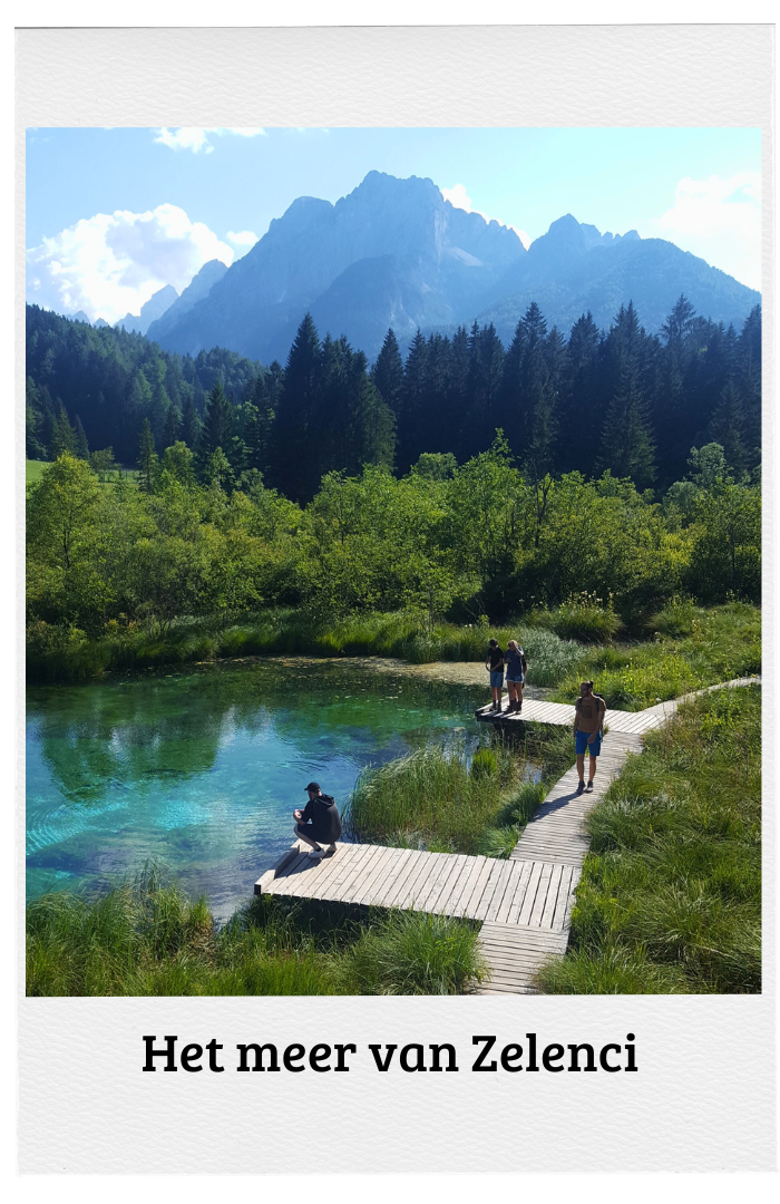 Het meer van Zelenci