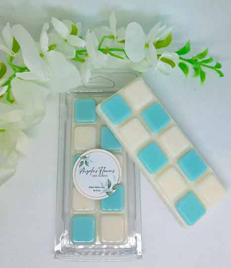 𝗙𝗮𝗶𝗿𝘆 𝗦𝗰𝗲𝗻𝘁𝗲𝗱 𝗕𝗼𝗼𝘀𝘁𝗲𝗿𝘀