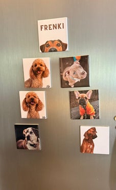 Magnet s fotografijom psa – personalizirani dizajn