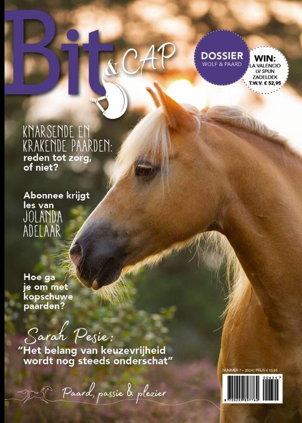 Bit & Cap juli 2024