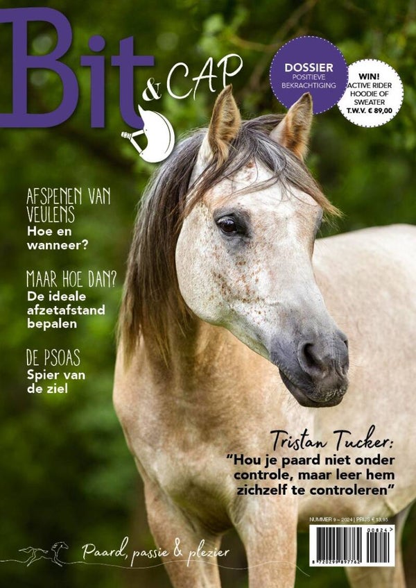 Bit & Cap september 2024