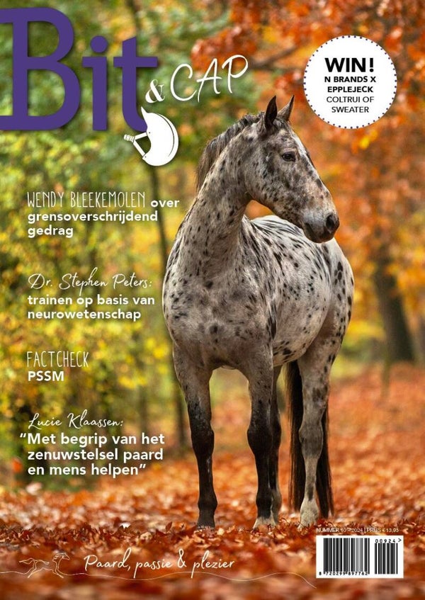 Bit & Cap oktober 2024