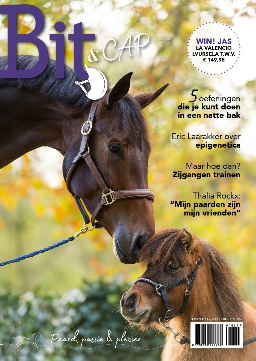 Bit & Cap november 2024