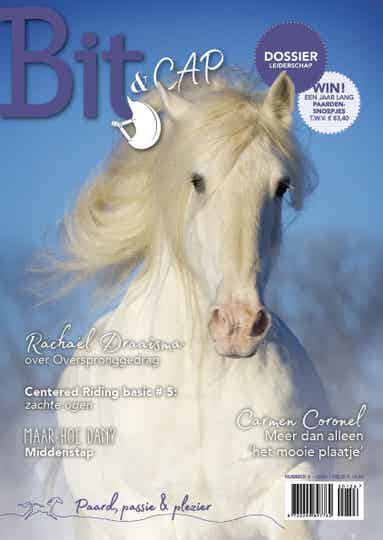 Bit & Cap februari 2025