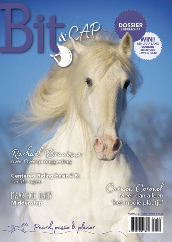 Bit & Cap februari 2025