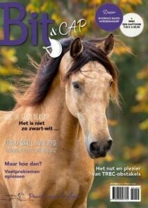 Bit & Cap oktober 2022