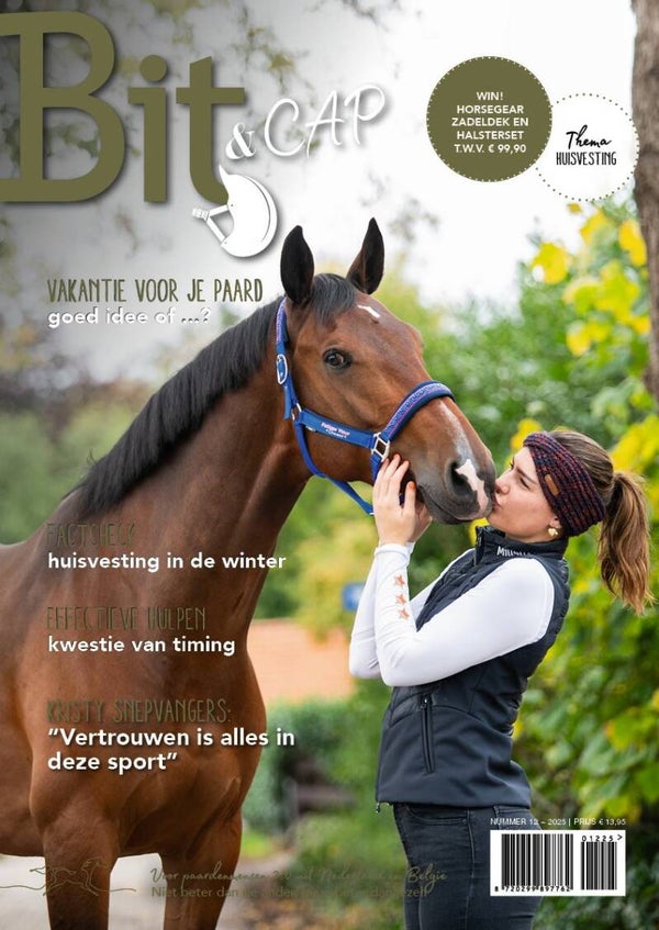 Bit & Cap december 2025