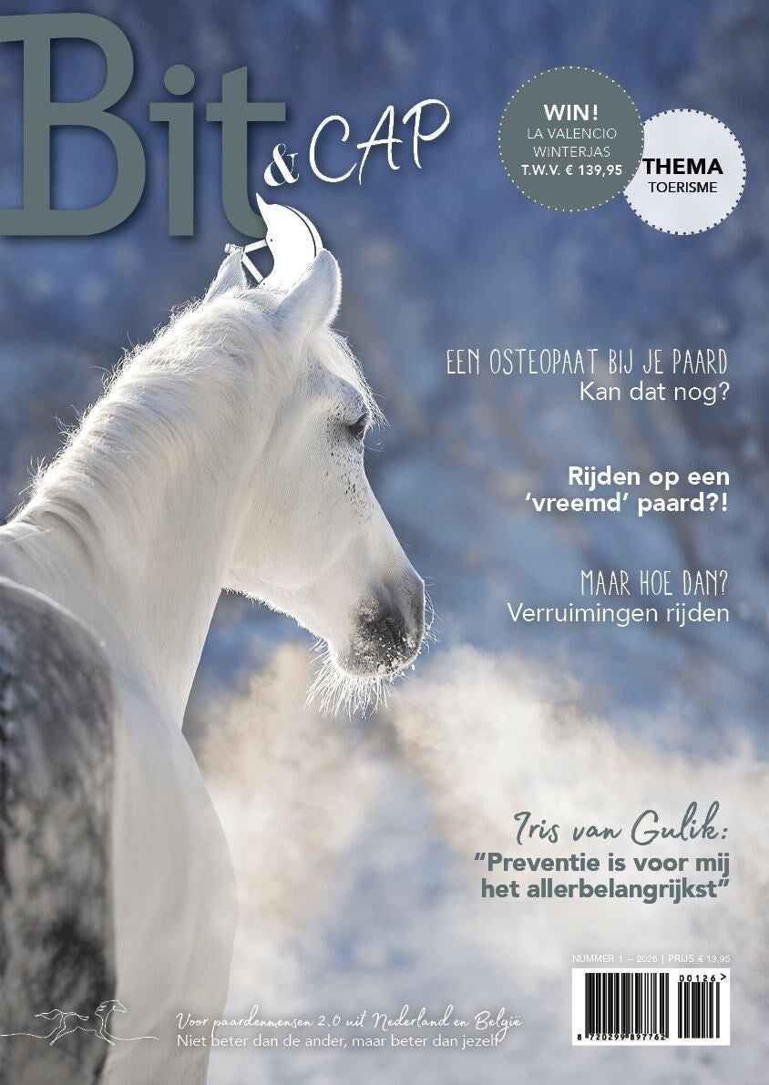Bit & Cap - Wintereditie