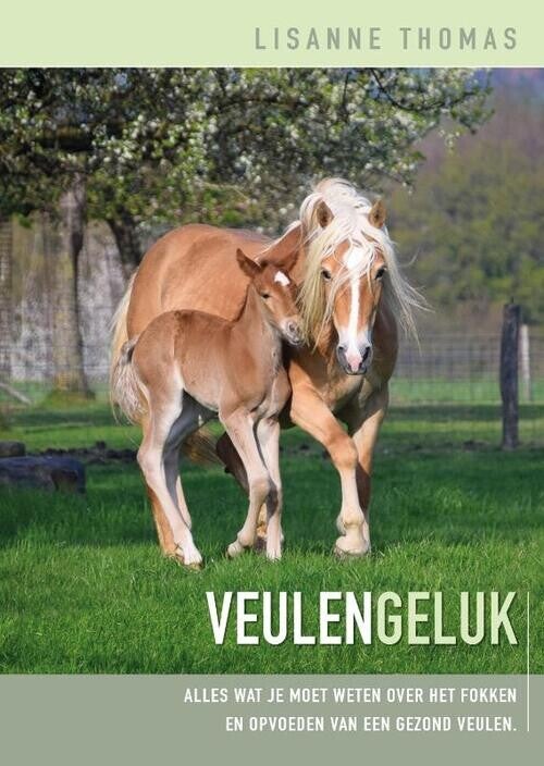 Boek: Veulengeluk (Lisanne Thomas)