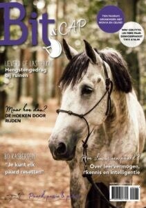 Bit & Cap november 2022