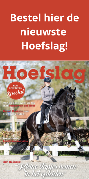 bestel