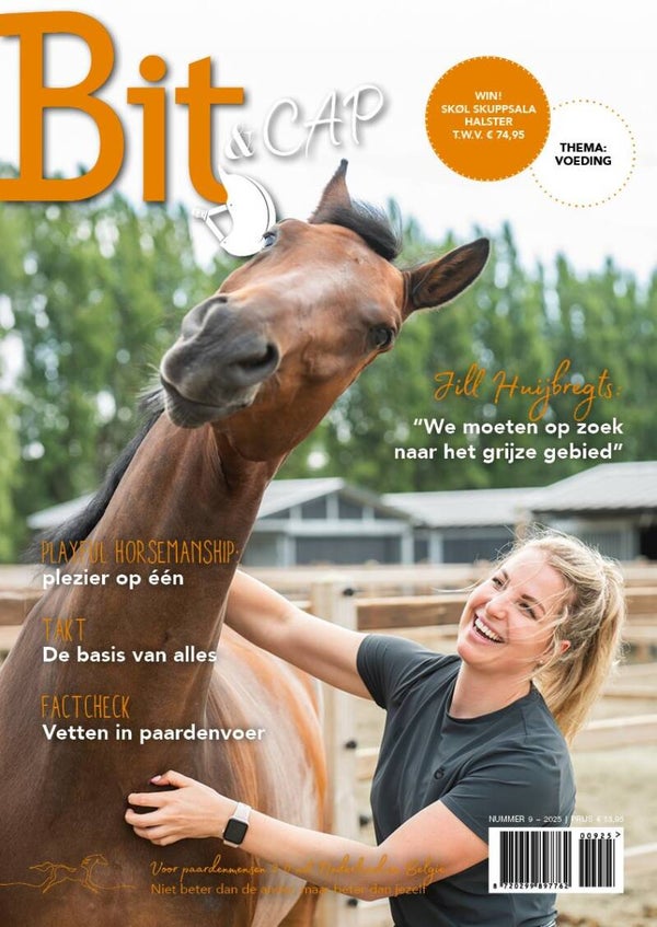 Bit & Cap september 2025