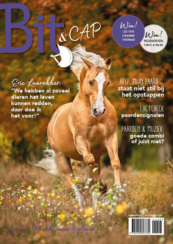 Bit & Cap november 2023