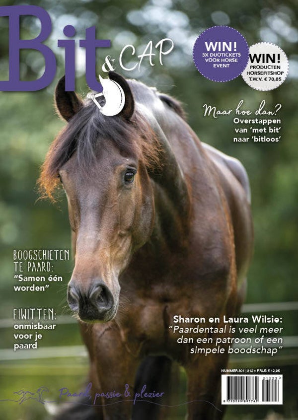 Bit & Cap september 2023