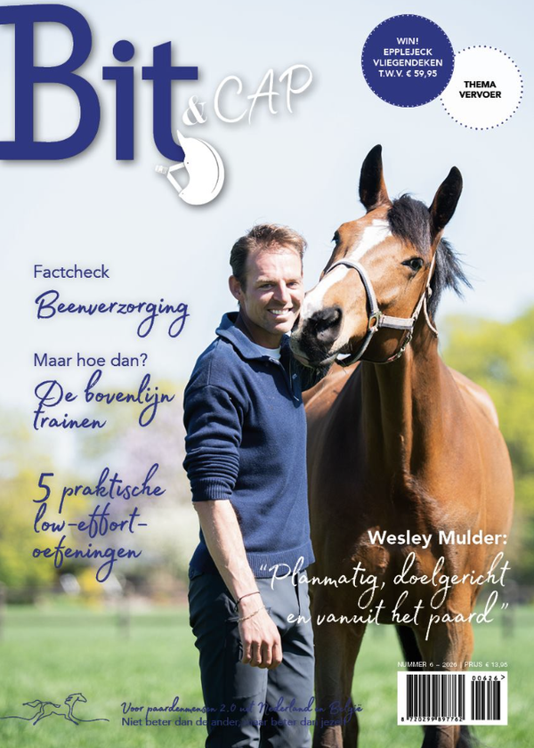 Bit & Cap juni 2026