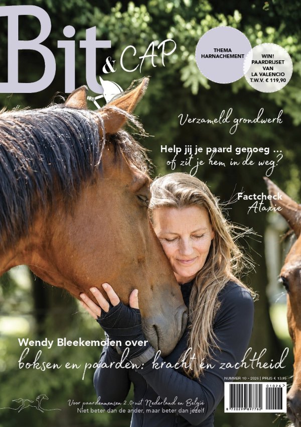 Bit & Cap november 2026