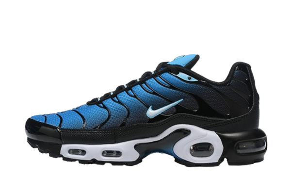 TN 2 Black & Blue Faded