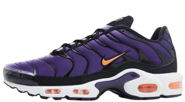 TN 2 Purple