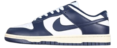 Dnk Low White & Blue