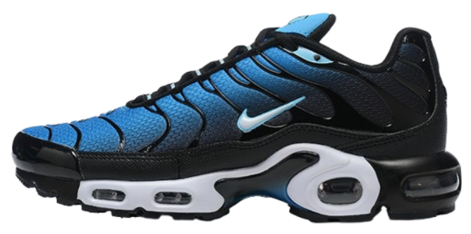 TN 2 Black & Blue Faded