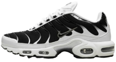 TN 2 Black & White Faded