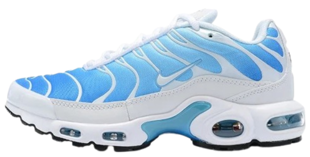 TN 2 White & Light Blue