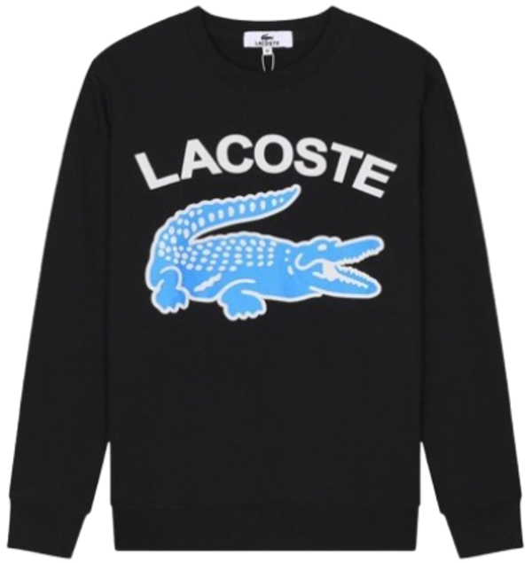 Lacost Sweater 7
