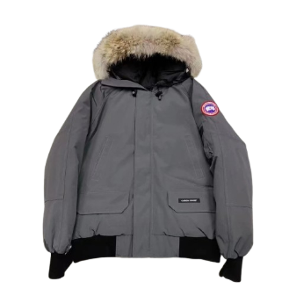 Canada Goose Gray