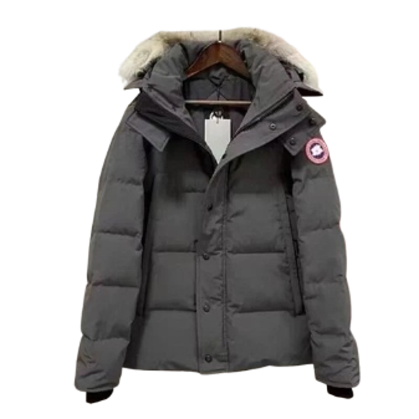 Canada Goose Grey