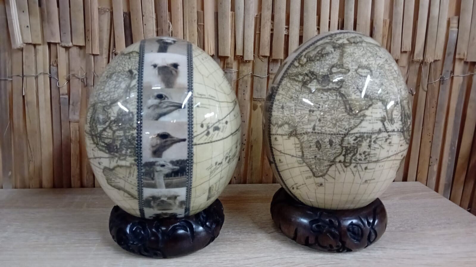 Beschilderd Struisvogelei, wereld en Struisjes