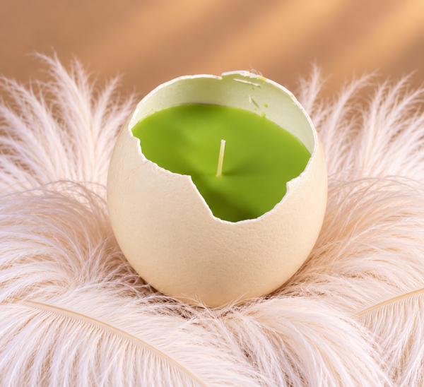 Struisvogelkaars