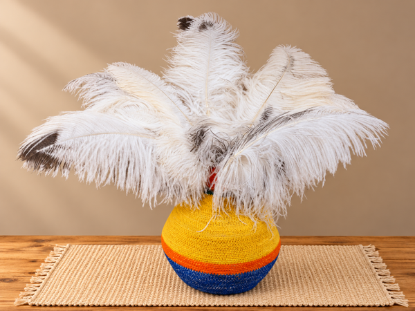 15 Struisvogelveren van 50 cm wit met zwart