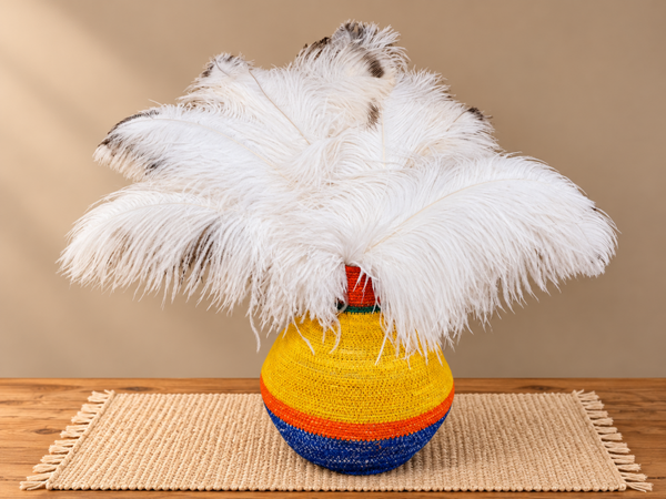 15 witte struisvogelveren van 50 cm met een zwart puntje