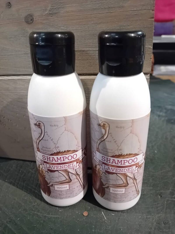 Shampoo