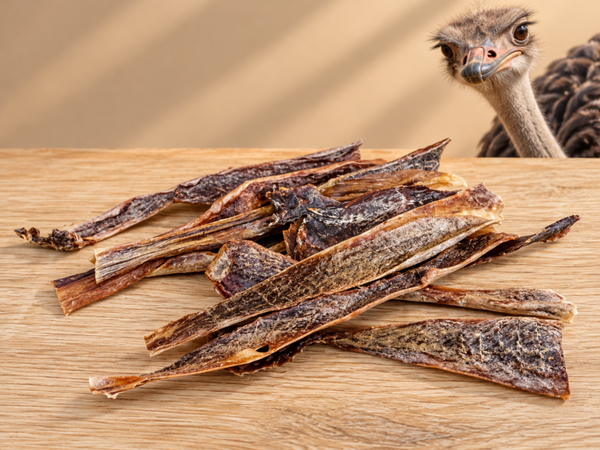 Gedroogd struisvogelvlees groot