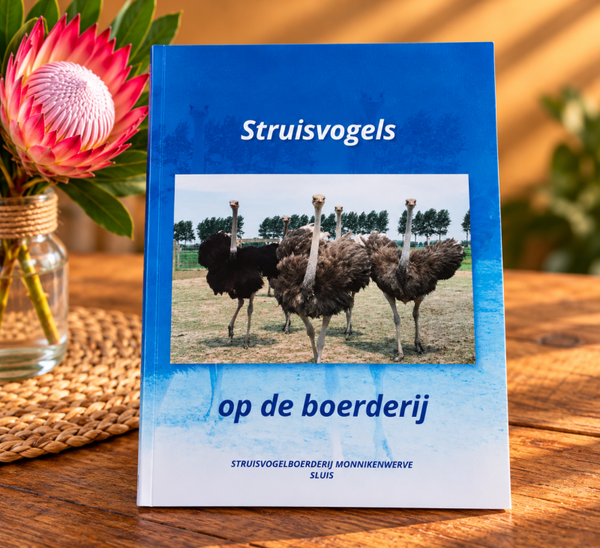 Struisvogels op de Boerderij