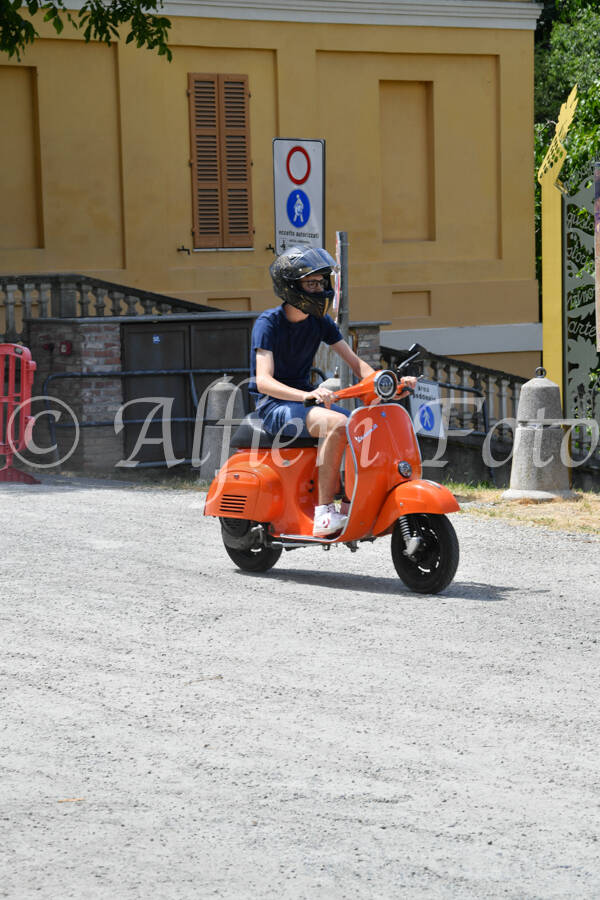 dsc_4239-standard-ikwc0f.jpg
