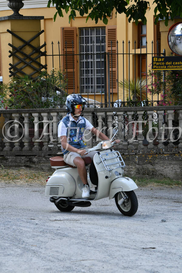 dsc_4259-standard-wk0szh.jpg