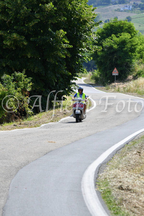 dsc_4304-standard-h507o1.jpg