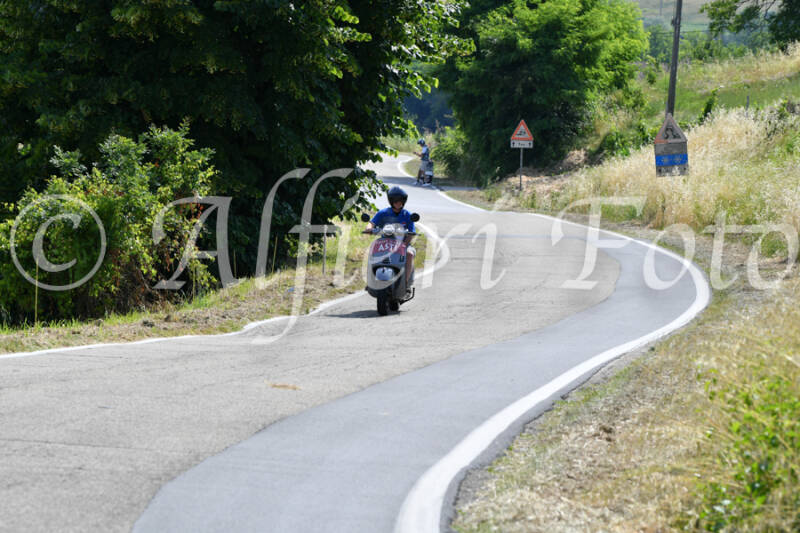dsc_4306-standard-z6v15w.jpg